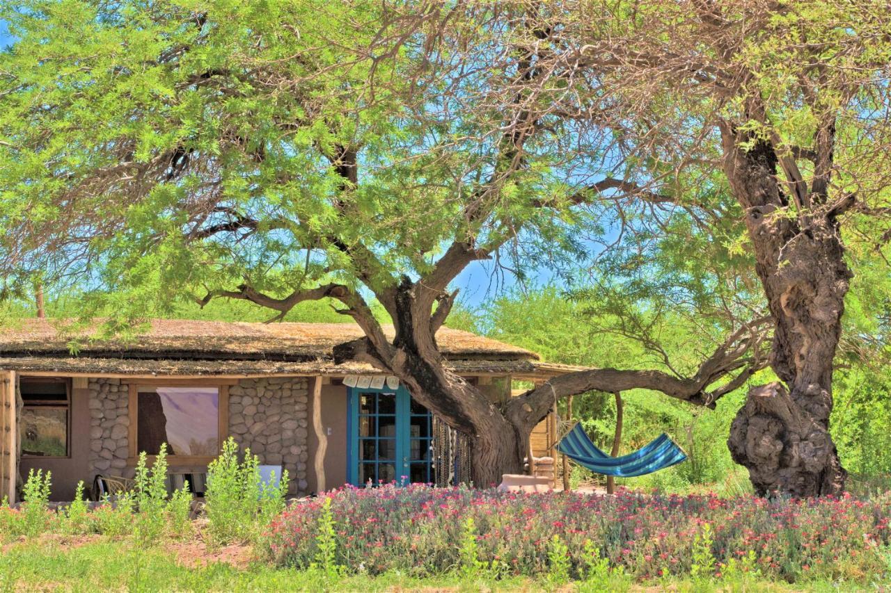 Casita La Brea Villa San Pedro de Atacama Eksteriør billede