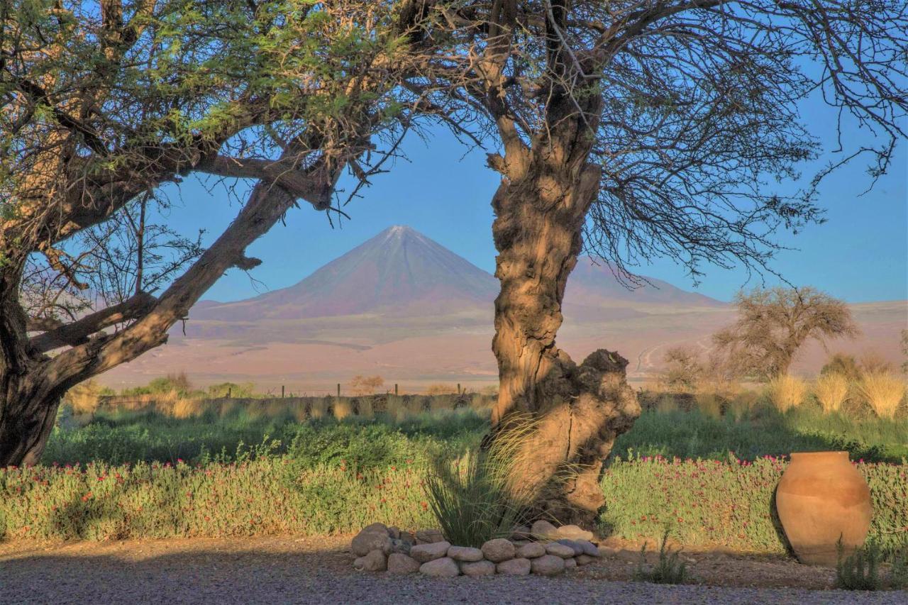 Casita La Brea Villa San Pedro de Atacama Eksteriør billede